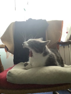 �����с@3