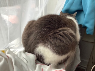 ǁ[