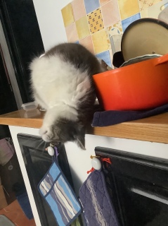 ��肷���H