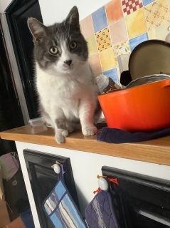 �n�b�ƋN���オ��L�����