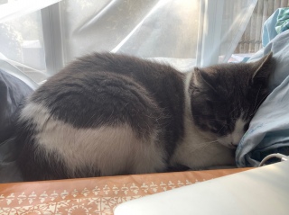 �����[�����[�Ɖ��炵��