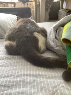 �Ł[��