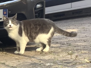 �t���[���������ƌ����炵��