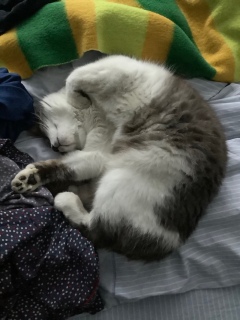 ˂ނ