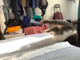 I