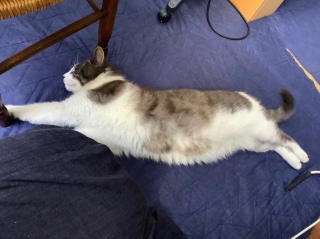ꏊ