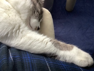 rʂ