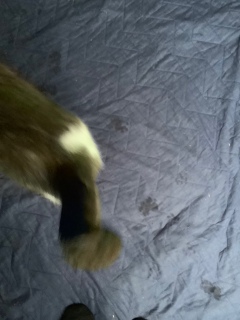 ��8���ɂ�����