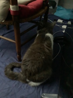 �X�g�[�u�߂���