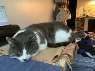 �J����ނ܂�