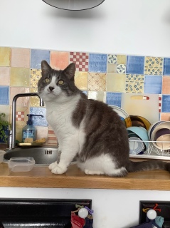 ���グ��L�����