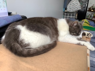 �������J�h��