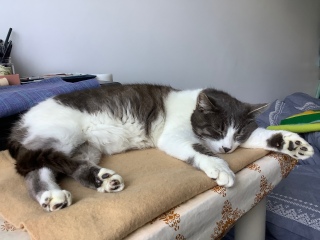 �J�h��̒��Q