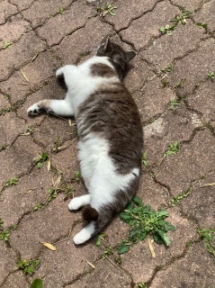 5��18��(��) �����̏o��