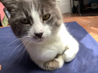 �������낢�\�}