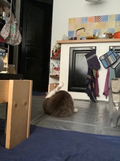 ���9���O