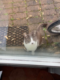 5��19��(��)_11���O�ɏo��