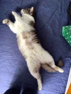 �L�уj�����R