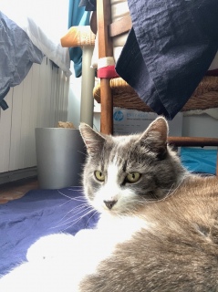 �������֍s���ȂƁH