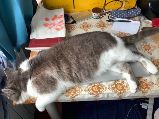 �L����񂪐Q�Ă��܂�