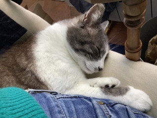 �Q����ς���