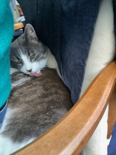 �����ꏊ�ŖтÂ��낢��