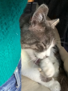 ������ꒆ