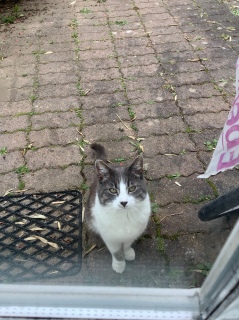 5��20��(��)�@��7���̔L�����