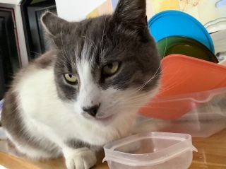 5��21��(��) �����O�̏o��