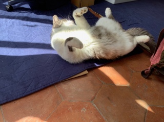 �Q�Ԃ�̏u��