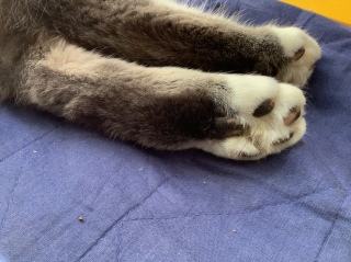 ���񂾂����