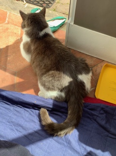 ���[���Ƃ����ˁ[�������