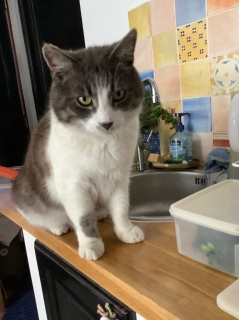 5��22��(�y) �����̔L�����