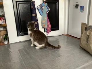 �܂�����