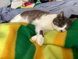 �����Ă܂�����