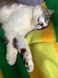 �Q���𗧂Ăďn����