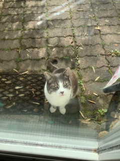 5��23��(��) 9����̂��͂悤