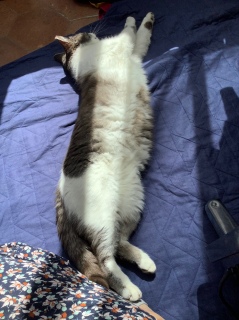 �����������ꏊ���킩��