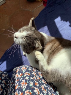 �������ۂ�ۂ�