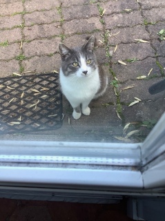 ���`�̔L�����