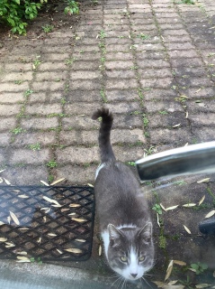 5��24��(��)_�{��2���