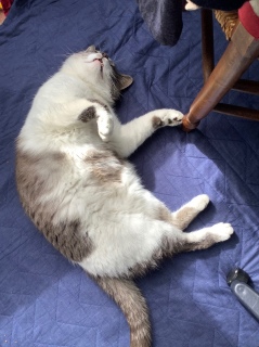 5��25��(��) �S���j����