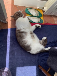 �N���b�L���O