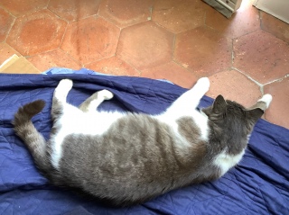 2�����߂�