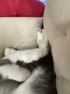 ���ɖт���������͂��܂��Ƃ�