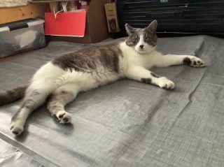�߂��炵�������ł��L�т�