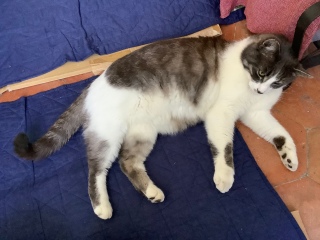 ���`�j���I