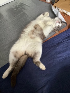 ���Ȃ��݂�