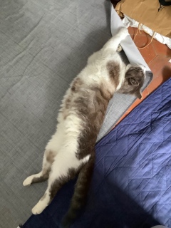 �т�[��