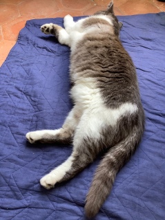 ������Ɉړ�����